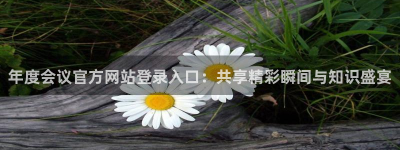 mg不朽情缘炸