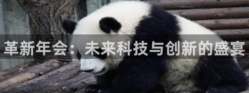 mg不朽情缘下载