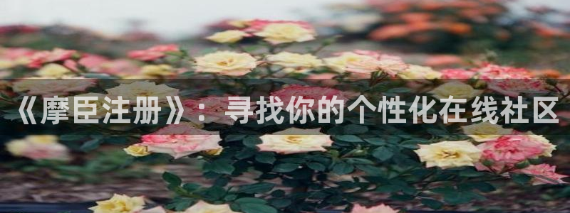 mg不朽情缘免费游戏视频