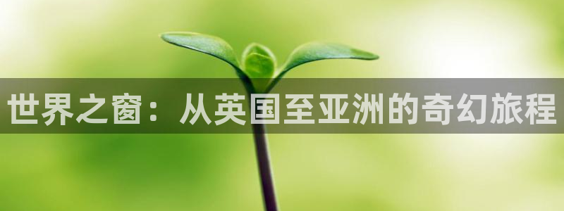 mg不朽情缘怎么玩