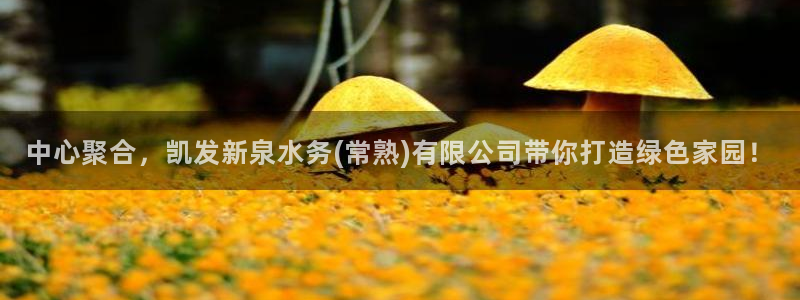 不朽情缘最新app下载