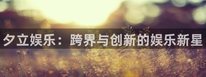 mg不朽情缘大奖