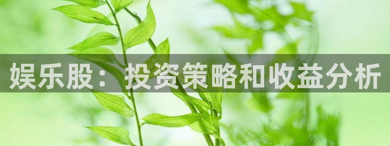 mg游戏不朽情缘在线