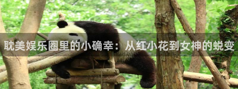 mg不朽情缘官网
