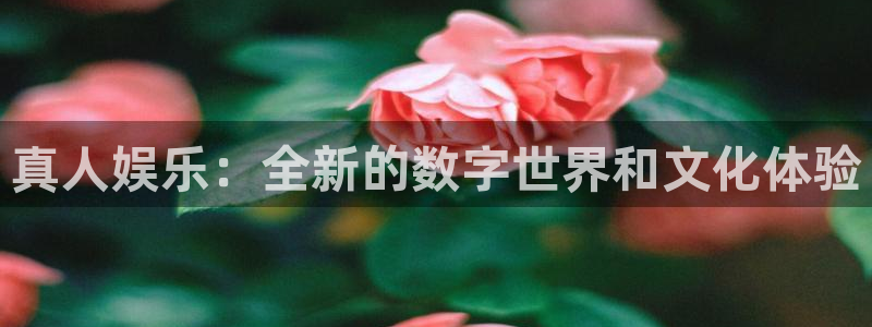 不朽情缘5滴血图片