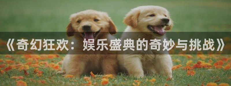mg不朽情缘免费游戏视频