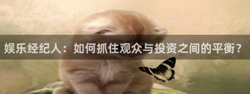 mg不朽情缘爆分技巧：娱乐经纪人：如何抓住观众与投资之间的平衡？