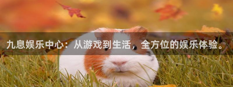 mg不朽情缘元爆万：九息娱乐中心：从游戏到生活，全方位的娱乐体验。